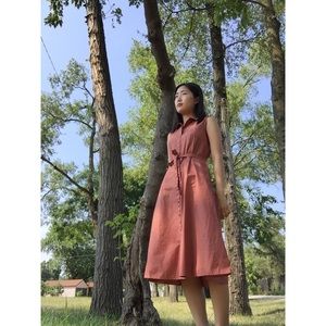 Uniqlo Button-Down Dress